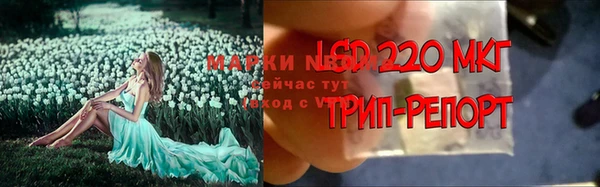 стафф Бронницы