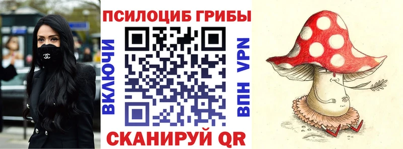 Галлюциногенные грибы Psilocybine cubensis  Торопец 